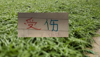 kaiyun-也是扯平！重庆让了李镇全+阿马杜 申花伤特谢拉 盖伊