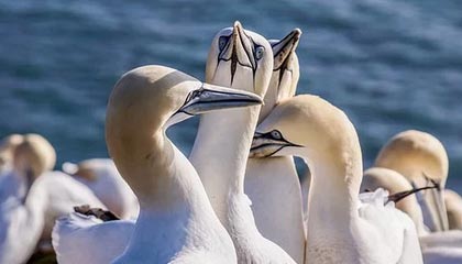 kaiyun.com引领云端新纪元：从初心到规模化的企业云解决方案